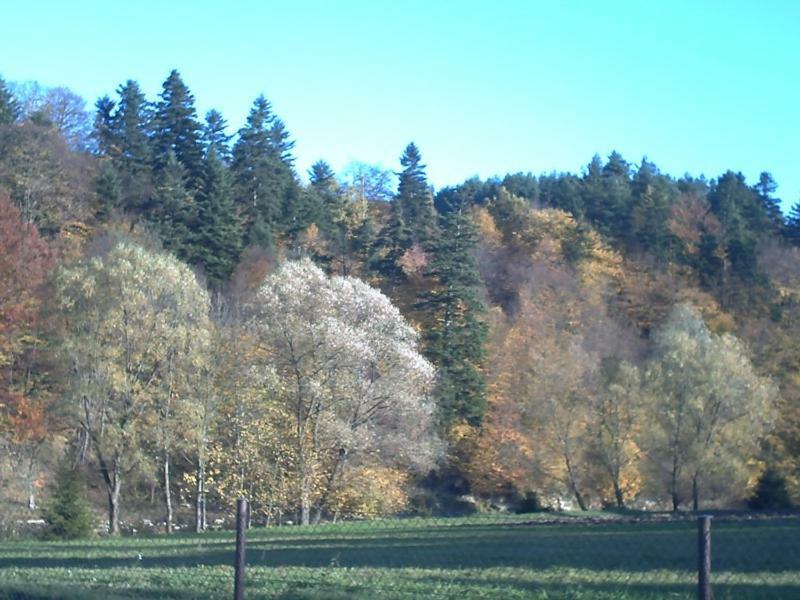 Pod Orzechem Vila Sanok Exterior foto